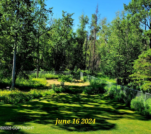 981 E Susitna Dr, Wasilla, AK 99654 - view of yard