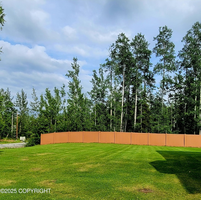 981 E Susitna Dr, Wasilla, AK 99654 - view of yard