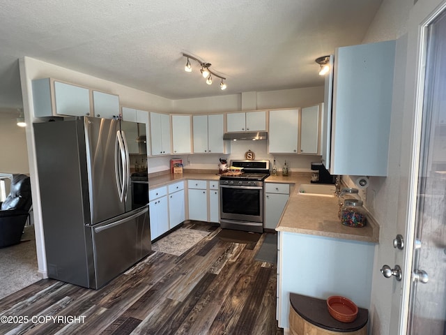 981 E Susitna Dr, Wasilla, AK 99654 - kitchen with appliances with stainless steel finishes, under cabinet range hood, dark wood-type flooring, light countertops, and a textured ceiling