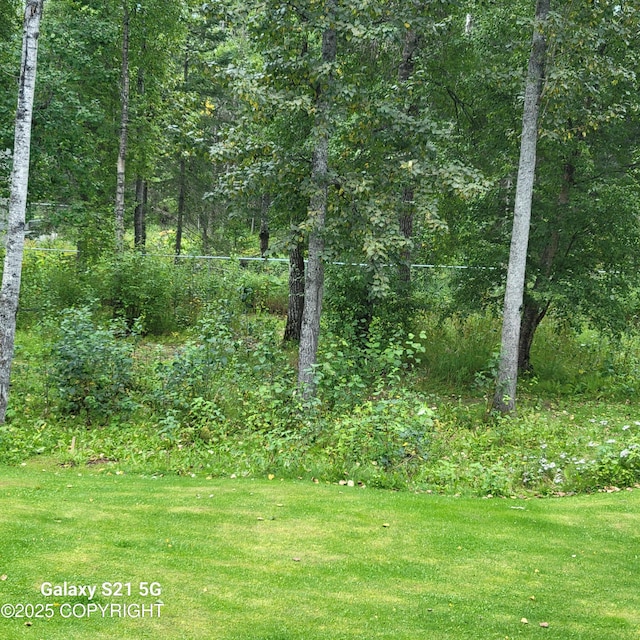 981 E Susitna Dr, Wasilla, AK 99654 - view of green lawn