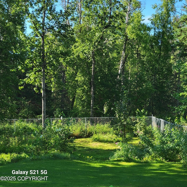 981 E Susitna Dr, Wasilla, AK 99654 - view of yard