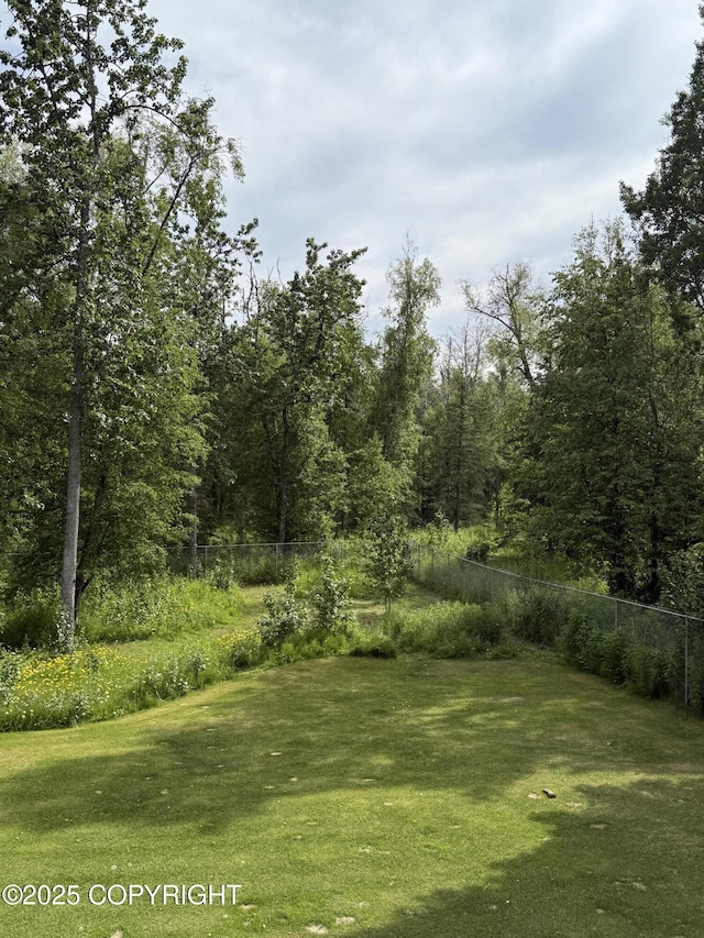 981 E Susitna Dr, Wasilla, AK 99654 - view of yard