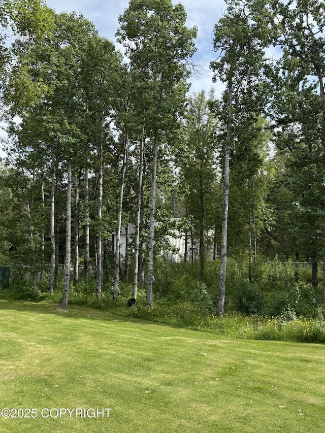 981 E Susitna Dr, Wasilla, AK 99654 - view of grassy yard