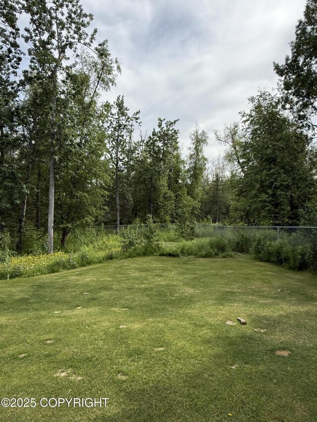 981 E Susitna Dr, Wasilla, AK 99654 - view of yard