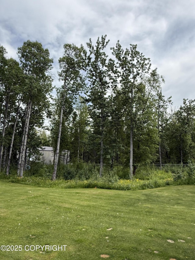 981 E Susitna Dr, Wasilla, AK 99654 - view of grassy yard