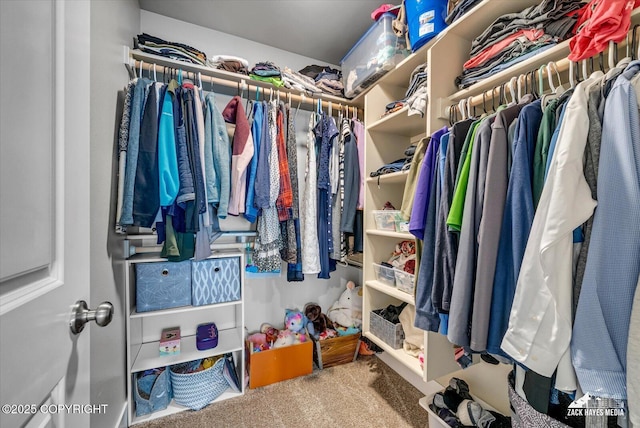 2945 Morgan Loop, Anchorage, AK 99516 - walk in closet featuring carpet