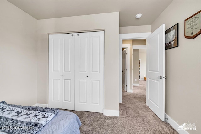 2945 Morgan Loop, Anchorage, AK 99516 - bedroom featuring carpet floors, a closet, and baseboards