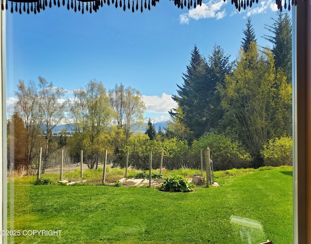 4510 Thomas Ct, Homer, AK 99603 - view of grassy yard