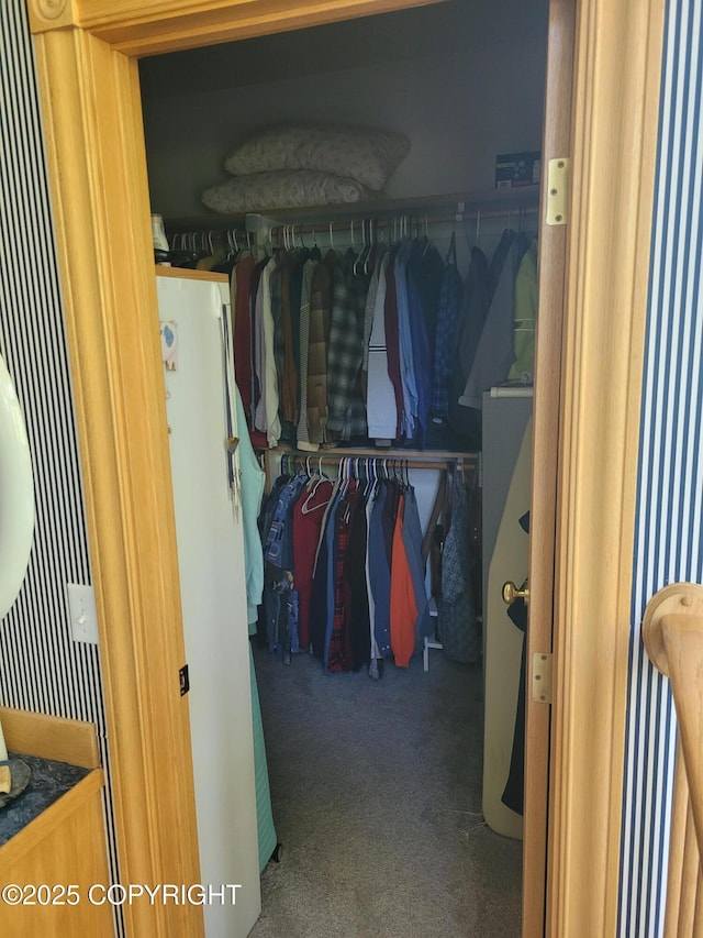 spacious closet with carpet flooring