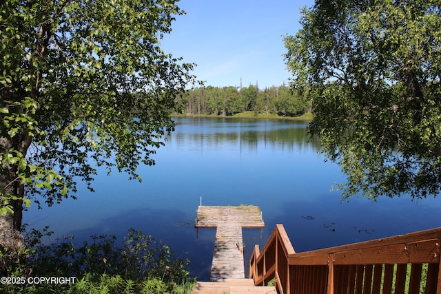 dock with a water view
