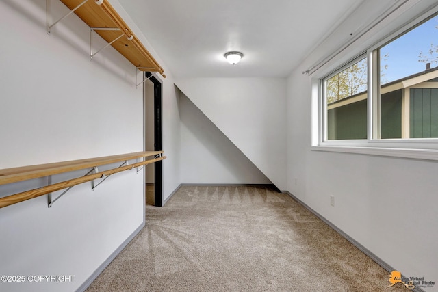 walk in closet featuring carpet
