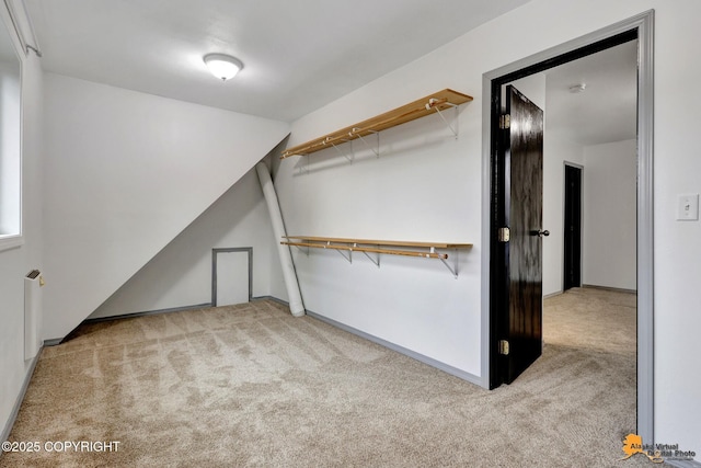 walk in closet featuring carpet