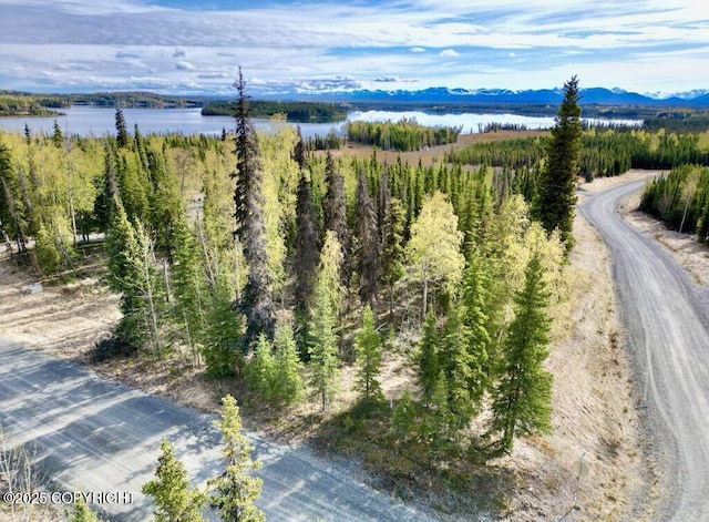 TRA4 Aletha Ct, Soldotna, AK 99669