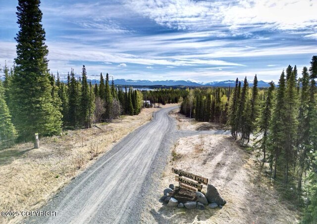 TRA4 Aletha Ct, Soldotna, AK 99669