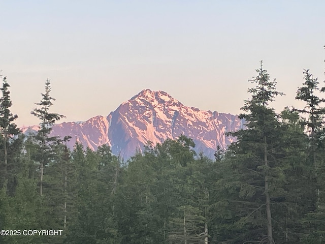 view of mountain background with a heavily wooded area