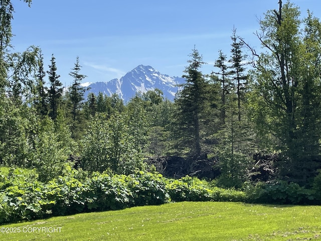 mountain view featuring a forest