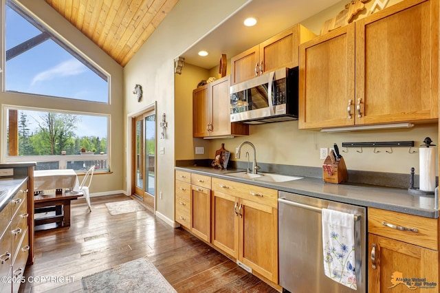kitchen featuring stainless steel appliances, healthy amount of natural light, a sink, dark wood-style flooring, and vaulted ceiling