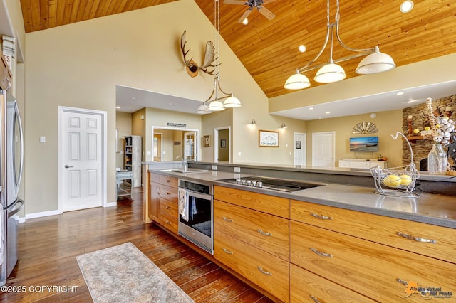 kitchen featuring appliances with stainless steel finishes, wood ceiling, a sink, high vaulted ceiling, and dark wood-style flooring