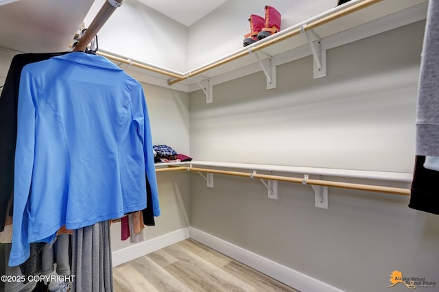 walk in closet with light wood-style flooring