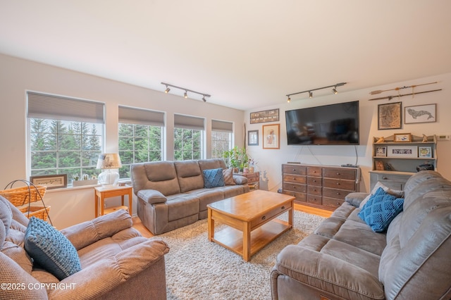 living room with rail lighting and wood finished floors