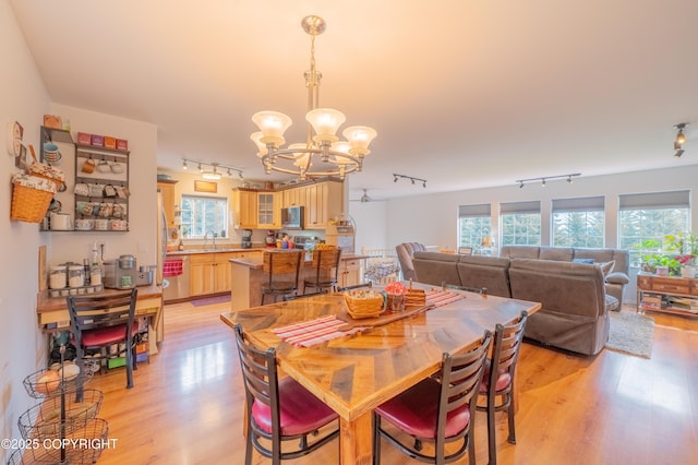dining room with track lighting, a chandelier, and light wood finished floors