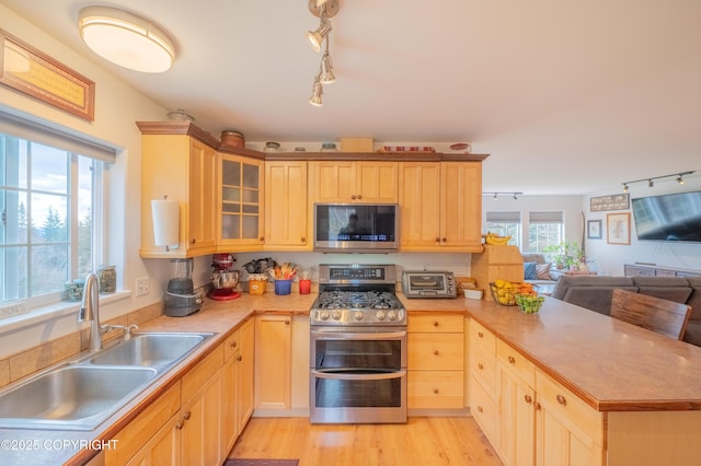 kitchen with appliances with stainless steel finishes, rail lighting, a sink, and a peninsula