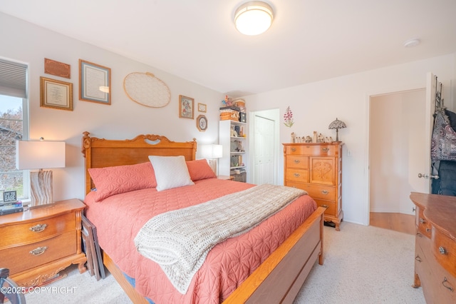 bedroom with a closet and light colored carpet