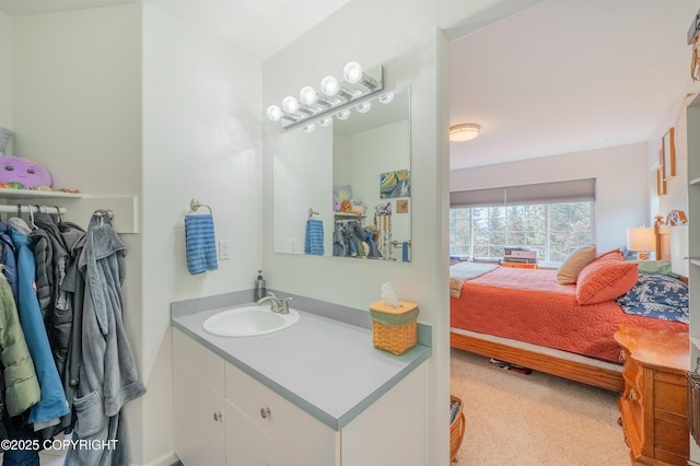 bathroom featuring vanity and ensuite bathroom