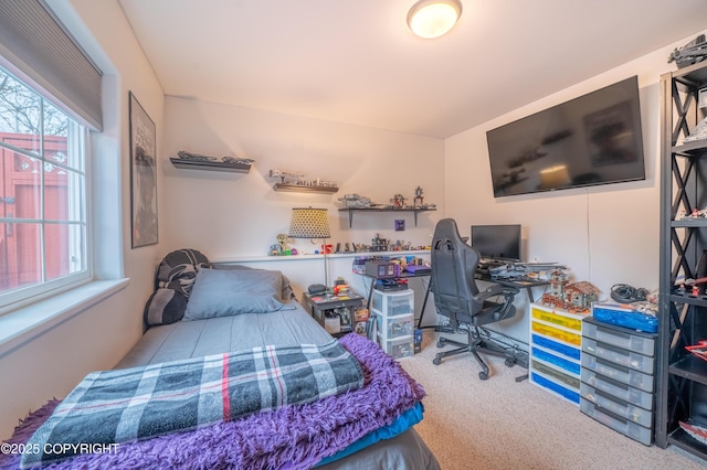 bedroom featuring carpet floors and an office area