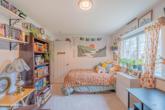carpeted bedroom with multiple windows