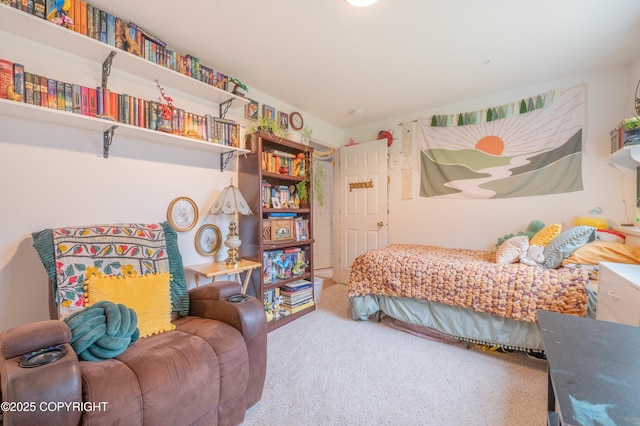 bedroom featuring carpet floors