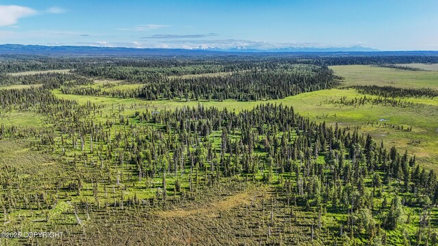 69600 Indy Ave, Anchor Point, AK 99556