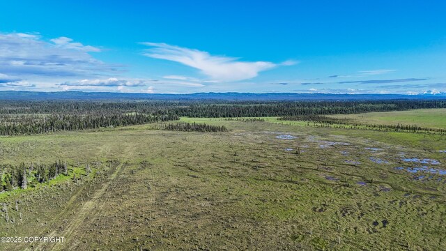 69600 Indy Ave, Anchor Point, AK 99556
