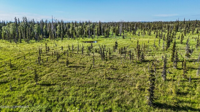 69600 Indy Ave, Anchor Point, AK 99556