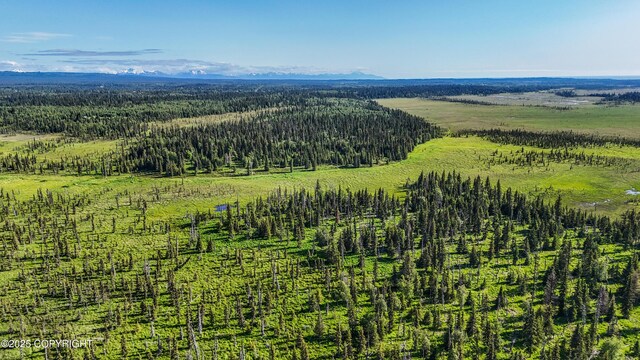 69600 Indy Ave, Anchor Point, AK 99556