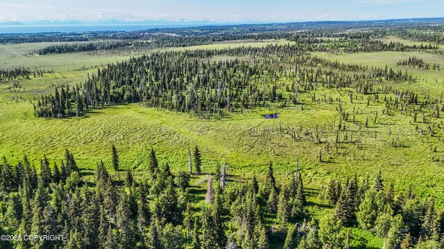 69600 Indy Ave, Anchor Point, AK 99556