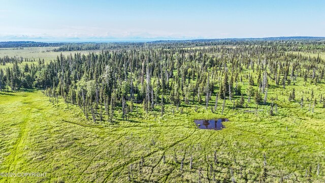 69600 Indy Ave, Anchor Point, AK 99556