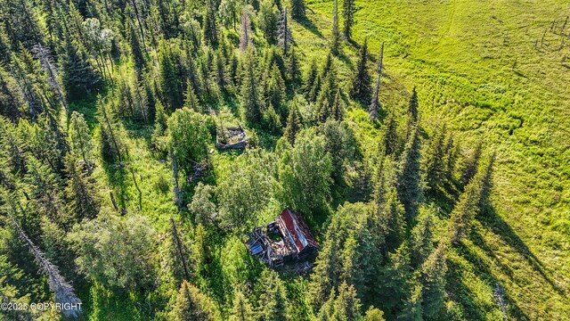 69600 Indy Ave, Anchor Point, AK 99556
