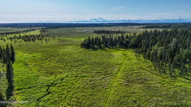 69600 Indy Ave, Anchor Point, AK 99556