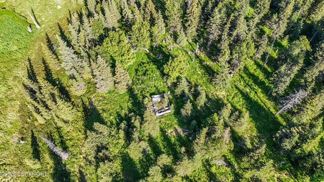 69600 Indy Ave, Anchor Point, AK 99556