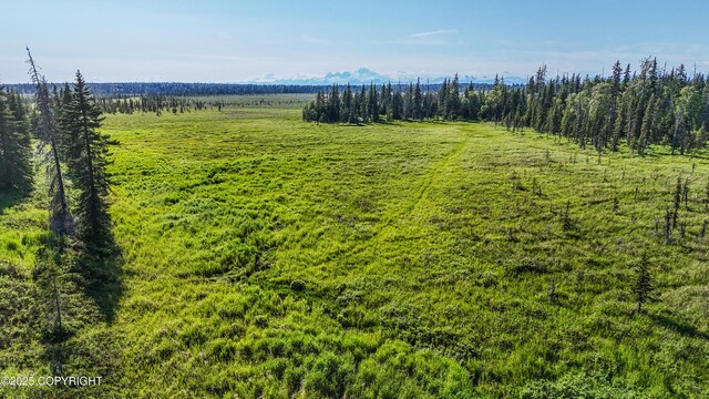 69600 Indy Ave, Anchor Point, AK 99556