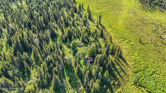69600 Indy Ave, Anchor Point, AK 99556