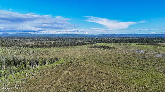 69600 Indy Ave, Anchor Point, AK 99556