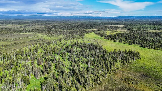 69600 Indy Ave, Anchor Point, AK 99556
