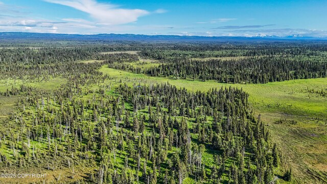 69600 Indy Ave, Anchor Point, AK 99556
