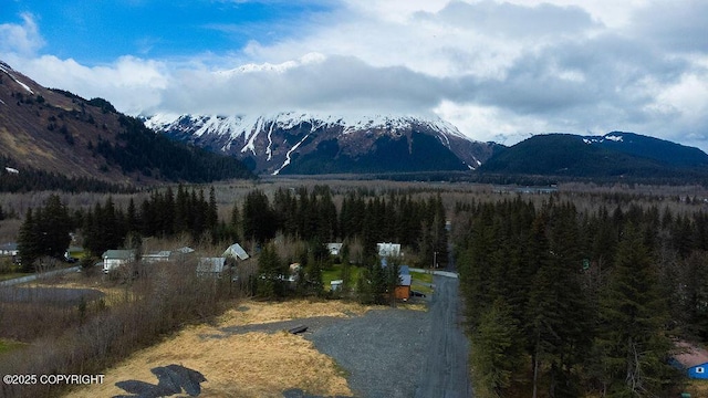 2417 Maple St, Seward, AK 99664