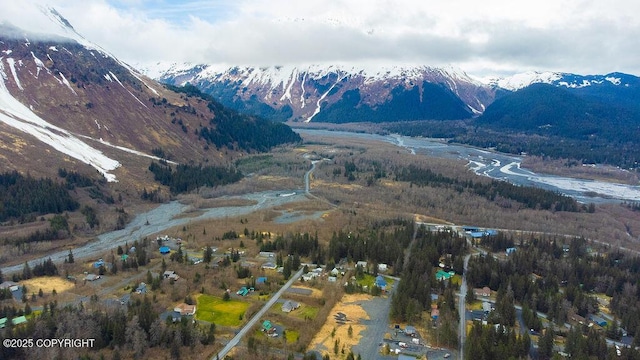 2417 Maple St, Seward, AK 99664