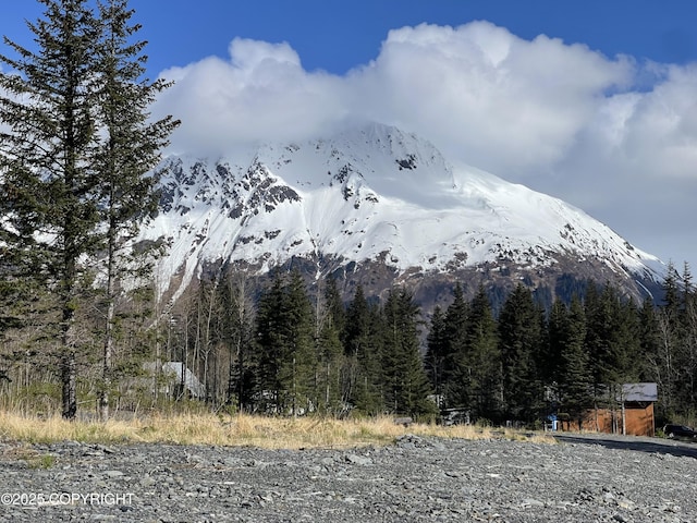 2417 Maple St, Seward, AK 99664