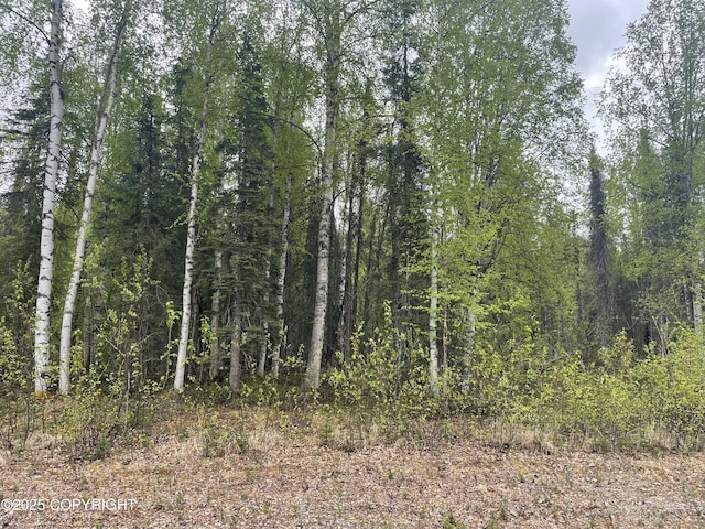 14968 Gyrfalcon Dr, Willow, AK 99688