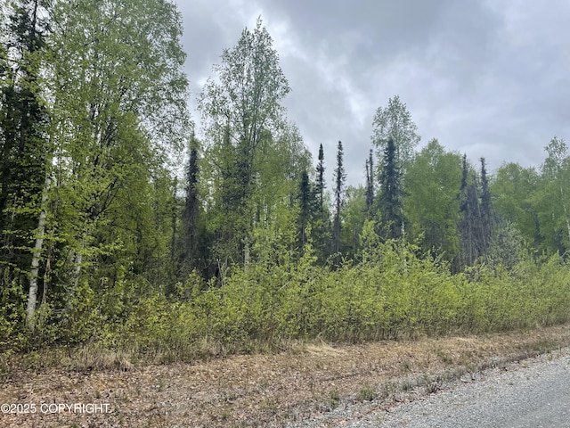 14968 Gyrfalcon Dr, Willow, AK 99688